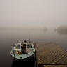 Foggy Morning